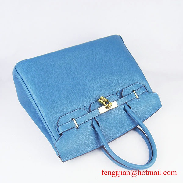 Hermes 35cm Embossed Veins Leather Bag Bule 6089 Gold Hardware